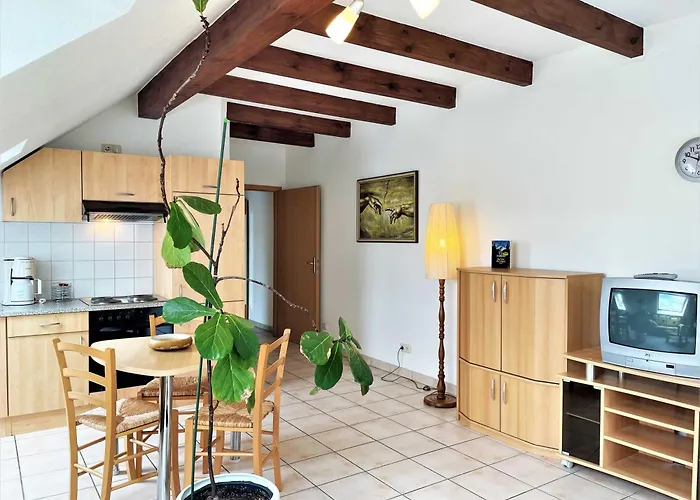 Silberseehaus In Der Freizeitoase Appartamento *